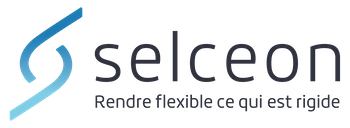 Selceon – Solutions IT pour Infrastructure et Cybersécurité